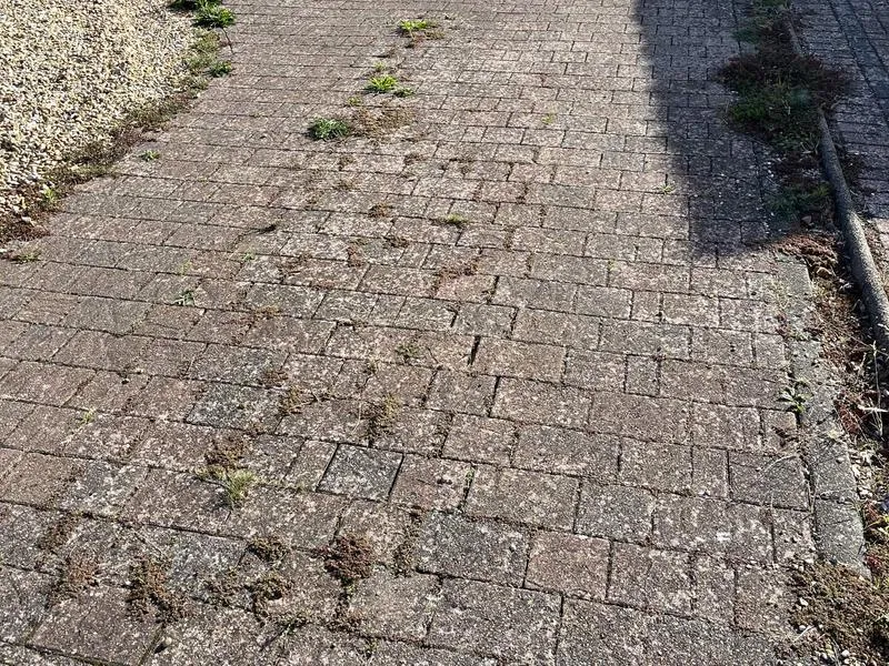 Block paved path covered in weeds and grime before pressure washing